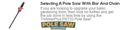  gas pole saw