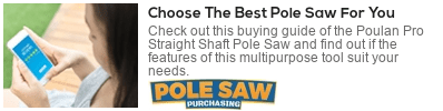  best pole saw