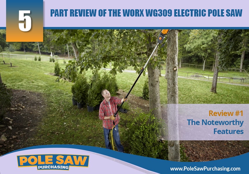 best pole saw