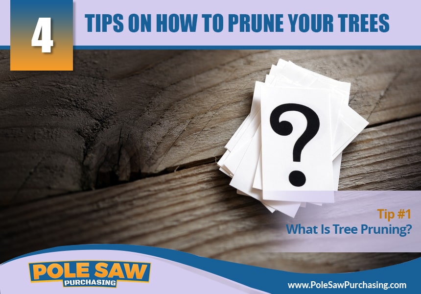  when and how to prune trees