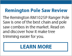  pole saw review